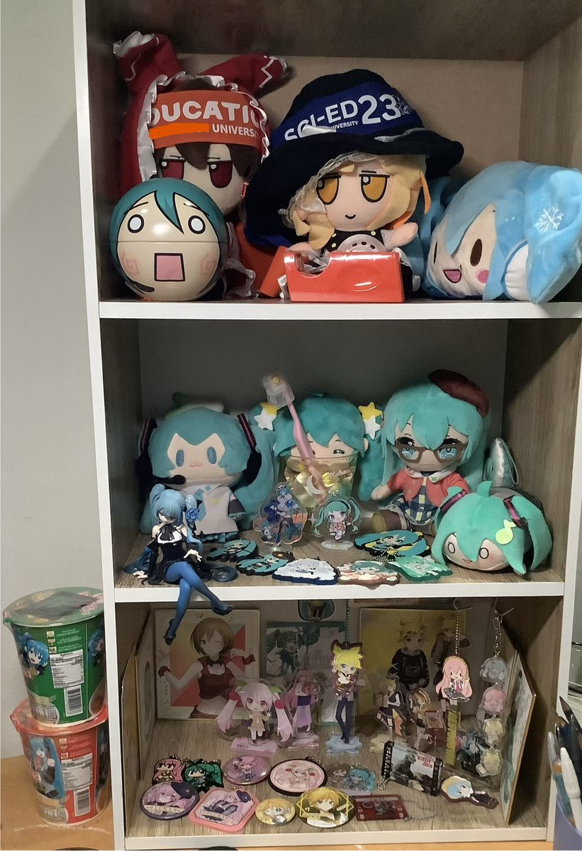 sart_Raphus_Fgi's tweet photo. Organized🥶🥰 https://t.co/7dfmjP3mTu