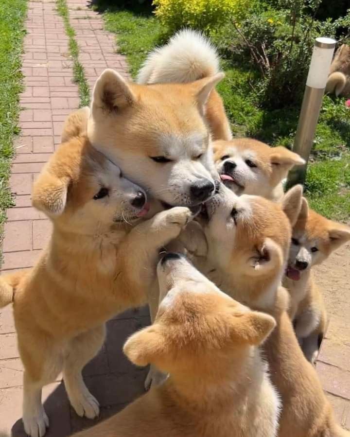 TweetofAnimals1's tweet photo. https://t.co/WpdaMuIn0i