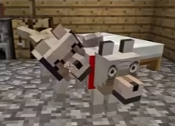 crowmutt_ tweet picture