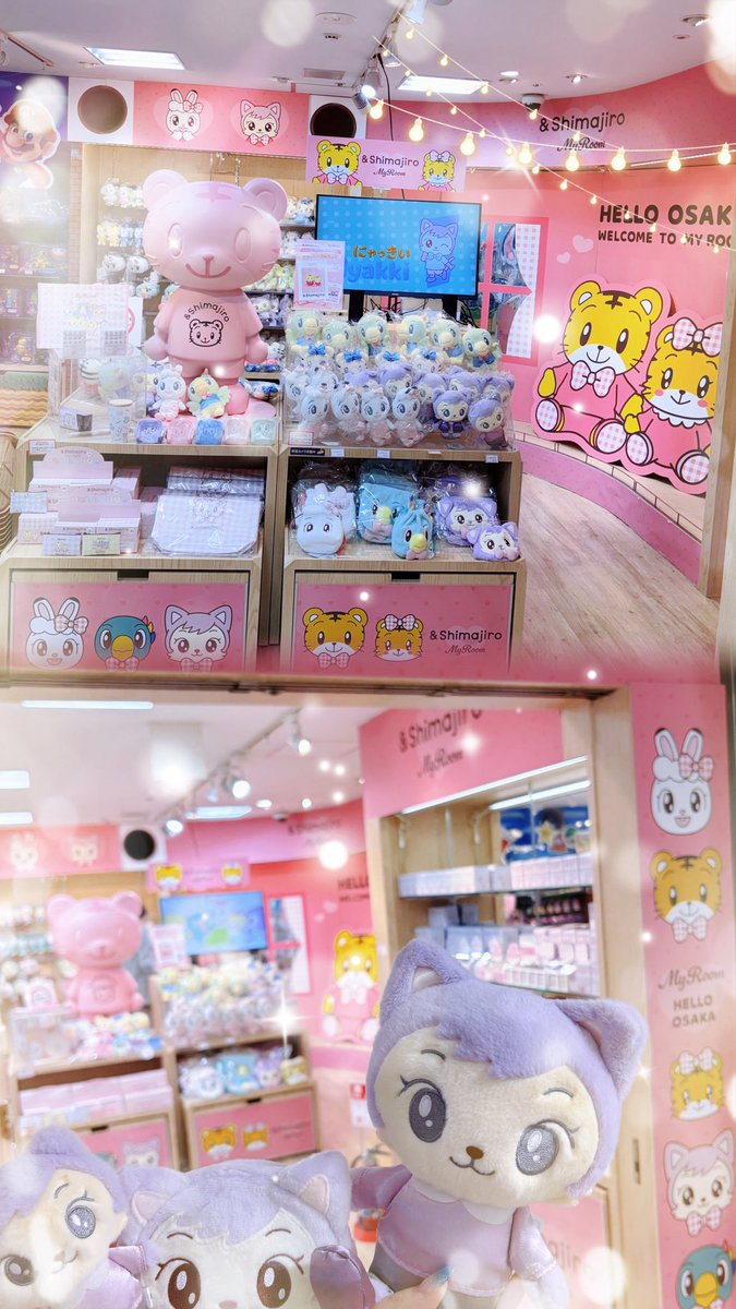 maru11x_KO16's tweet photo. @shima_official この度は素敵な企画、グッズ販売ありがとうございます👼🏻🎀🪄
子どもの頃からしまじろうが大好きで、大人になった今もアニメ楽しみにしてます📺⭐️KIDDY LAND大阪梅田店の装飾もかわいすぎました😭💘にゃっきい推しなのでご縁があればうれしいです🐱💜
#しまじろう #プレゼントキャンペーン #MyRoom https://t.co/0N7nyBN3Bm