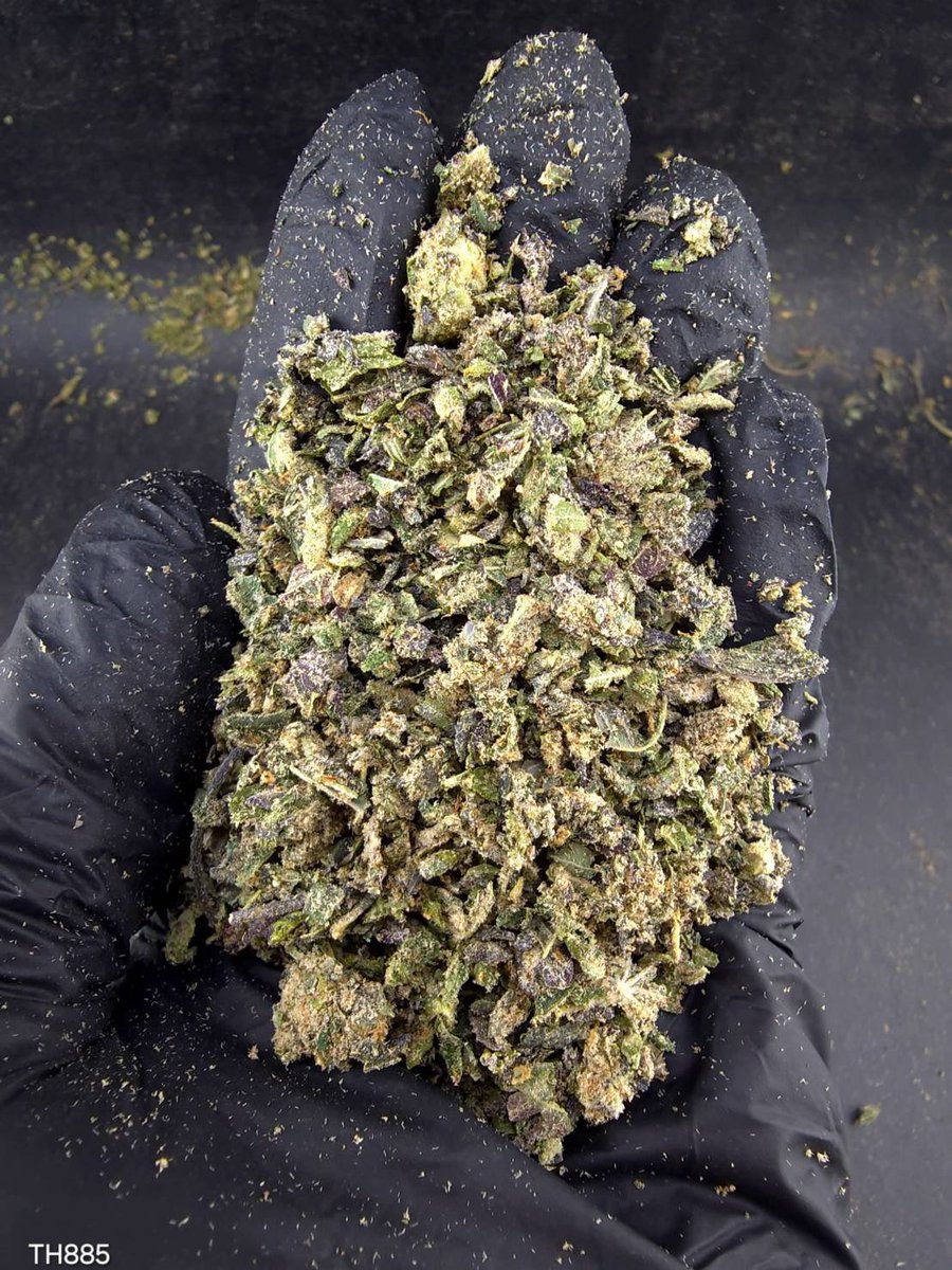 kaai_neuua_boi's tweet photo. ⏳【 🍃Indoor • Powder 】🇹🇭

🔸 Cap Junky 🧢⛽️
🔸 Hybrid 🔸THC34%👃🏼🧢

Aroma🔻Diesel 🛢️Flowery🌸Gas⛽️

💸100G = 550฿ , 1KG = 1,600฿💸

🛍️สนใจสินค้า @Line 
ทักแชท ตามสั่งได้เลยครับ🔻
Line ID (.) ▶️ 0924153858.
https://t.co/FhkqQ5HvfG

#weed #cannabis #og #กัญชา #สายเขียว #weedthailand #BaiTrim #กัญชาใบทริม #สายเมา #กัญชาอุบล #กัญชารังสิต #กัญชานนทบุรี