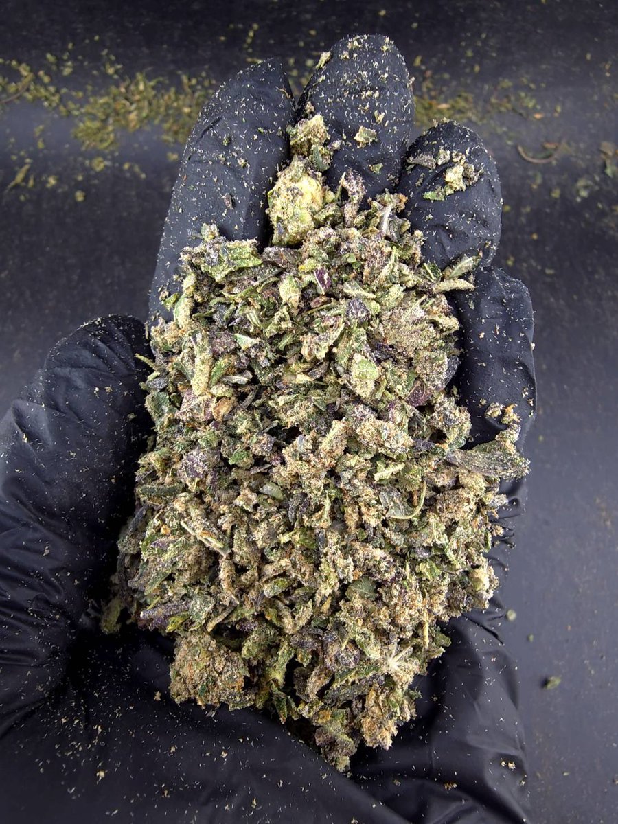 kaai_neuua_boi's tweet photo. ⏳【 🍃Indoor • Powder 】🇹🇭

🔸 Cap Junky 🧢⛽️
🔸 Hybrid 🔸THC34%👃🏼🧢

Aroma🔻Diesel 🛢️Flowery🌸Gas⛽️

💸100G = 550฿ , 1KG = 1,600฿💸

🛍️สนใจสินค้า @Line 
ทักแชท ตามสั่งได้เลยครับ🔻
Line ID (.) ▶️ 0924153858.
https://t.co/FhkqQ5HvfG

#weed #cannabis #og #กัญชา #สายเขียว #weedthailand #BaiTrim #กัญชาใบทริม #สายเมา #กัญชาอุบล #กัญชารังสิต #กัญชานนทบุรี
