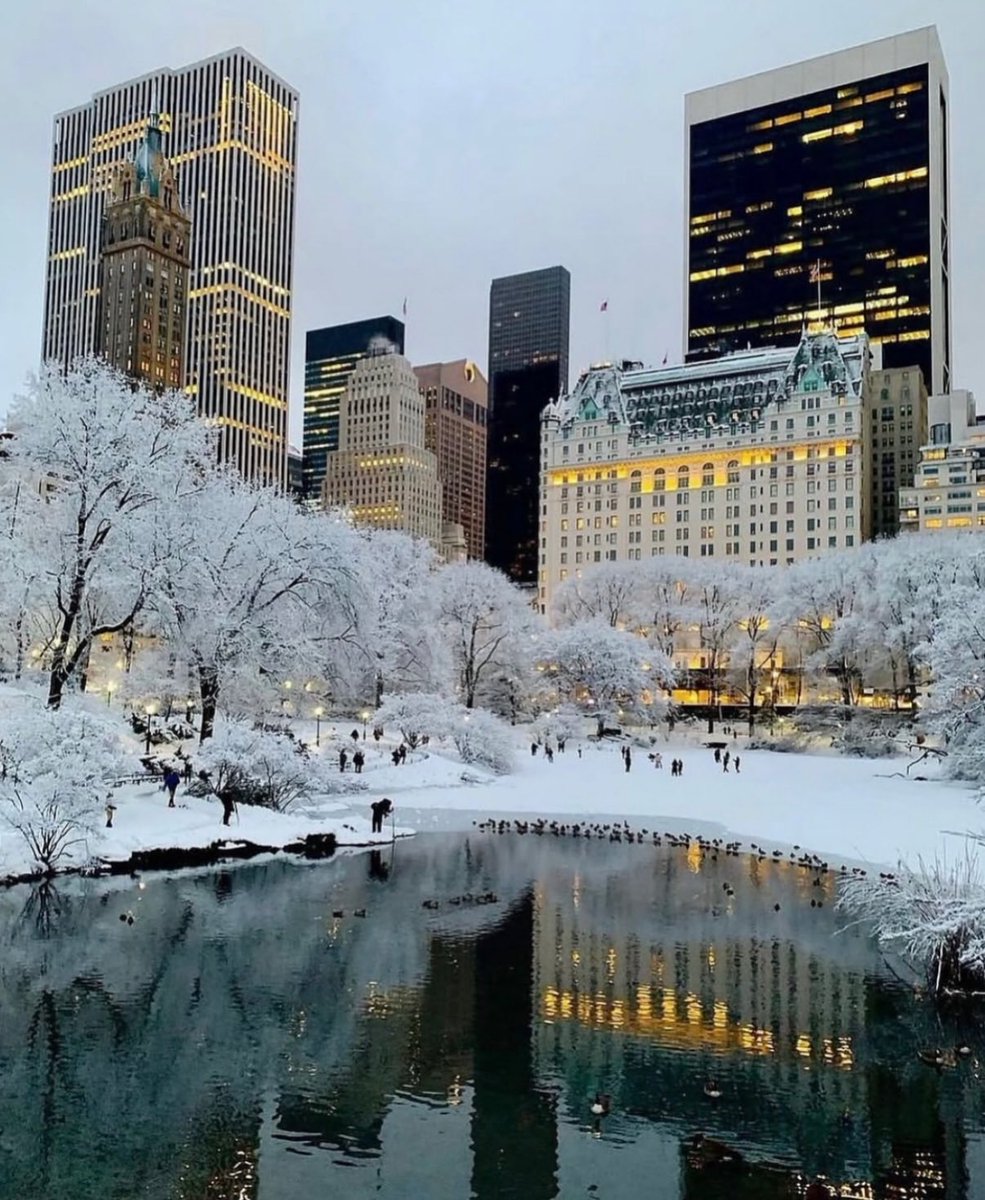earthserenityy's tweet photo. Winter in New York https://t.co/7Ds9m1lKnL