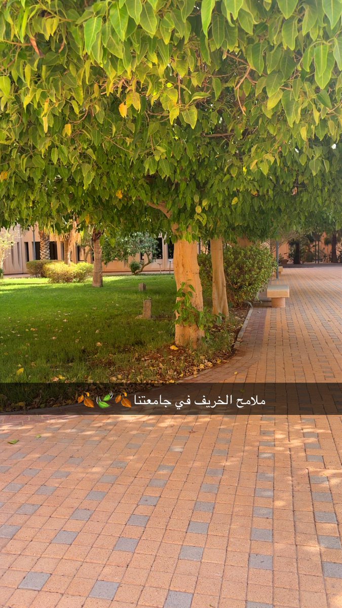 ReemTalmutairi's tweet photo. جاء تشرينُ 🍃🍂…
واحلى وقت …… تشرينُ 🍁 https://t.co/rGO8z6LzzD