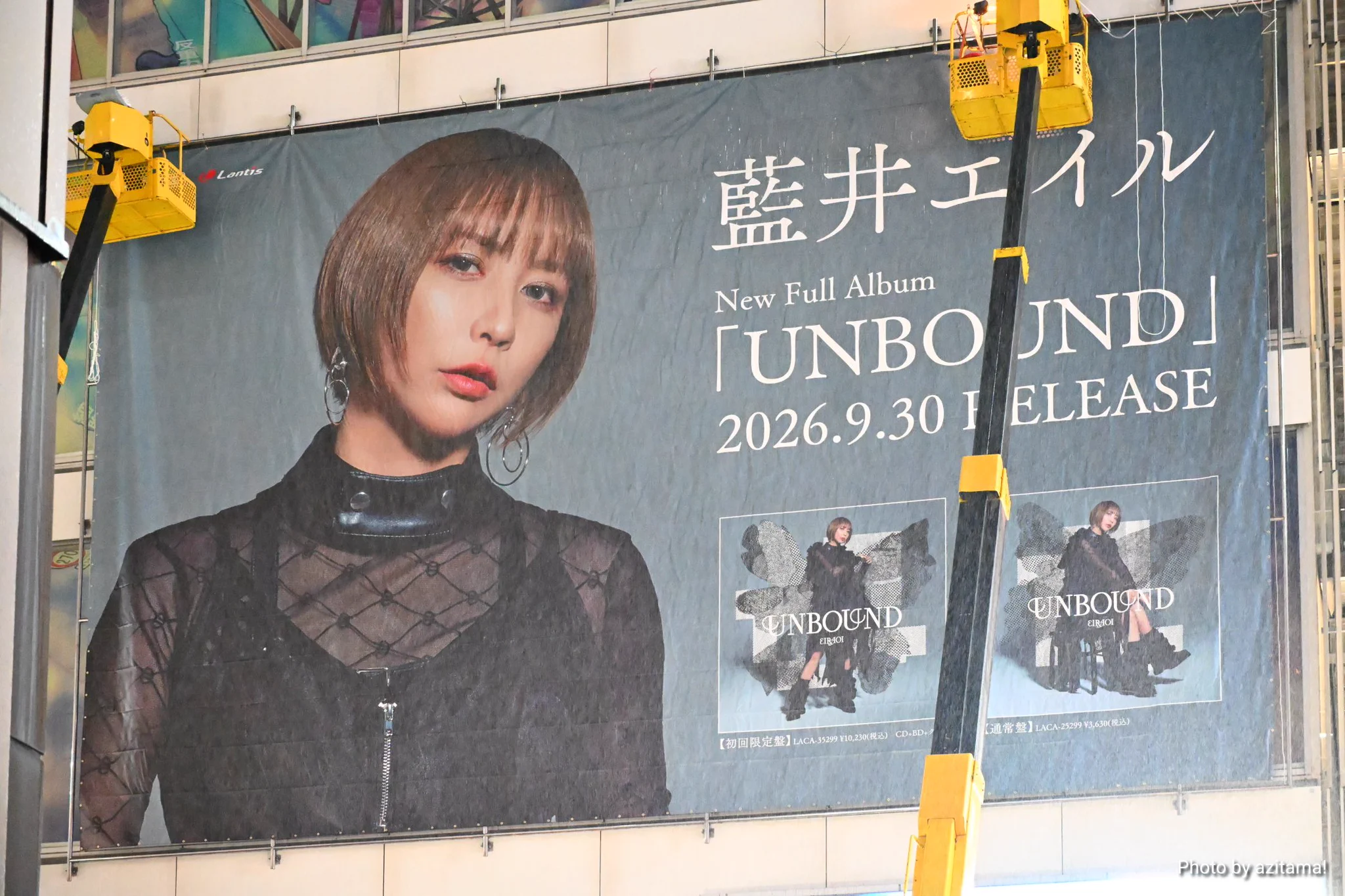 ながよし🦋🦋@藍井エイルstaff“の”マネージャー(非公式) on X: 