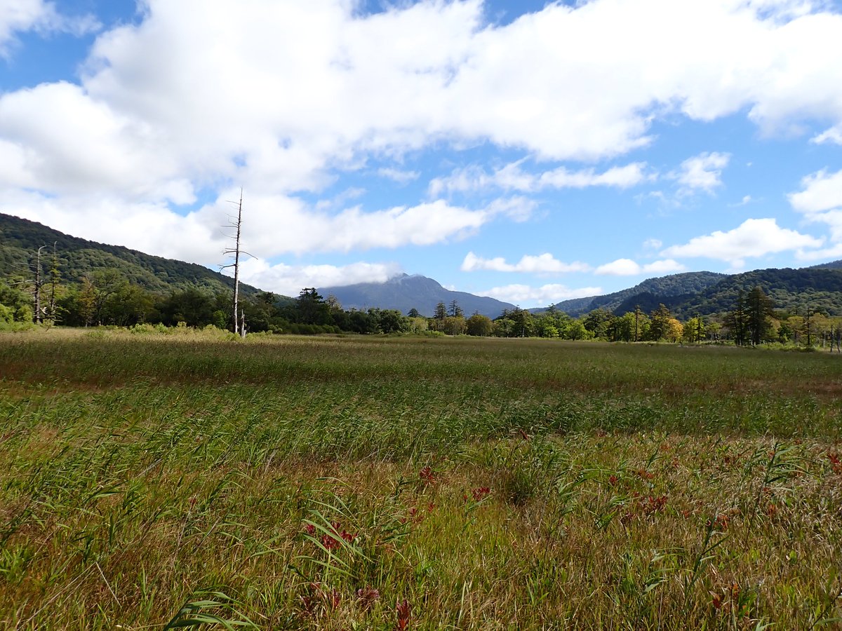 JF1JJW's tweet photo. 念願の尾瀬ヶ原→至仏山(73/301)⑨
ワンゲル部の高速ペースに最後まで追随して歩いた僕、頑張った💪
①尾瀬ヶ原より燧ヶ岳
②至仏山より尾瀬ヶ原
③子至仏山への稜線
④子至仏山より至仏山(左) https://t.co/qS0OHbpvFG