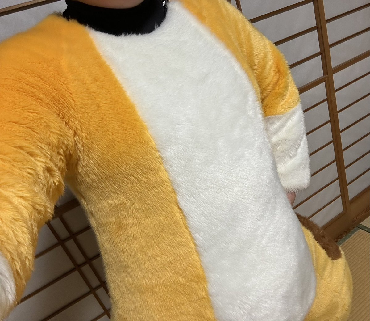 miitarutaru's tweet photo. 着慣れとかないとと1ヶ月ぶりに獣化してるけどここまで着た時点ではぁはぁ言ってるの体力無さすぎる😇 https://t.co/IIoqgfXxm2