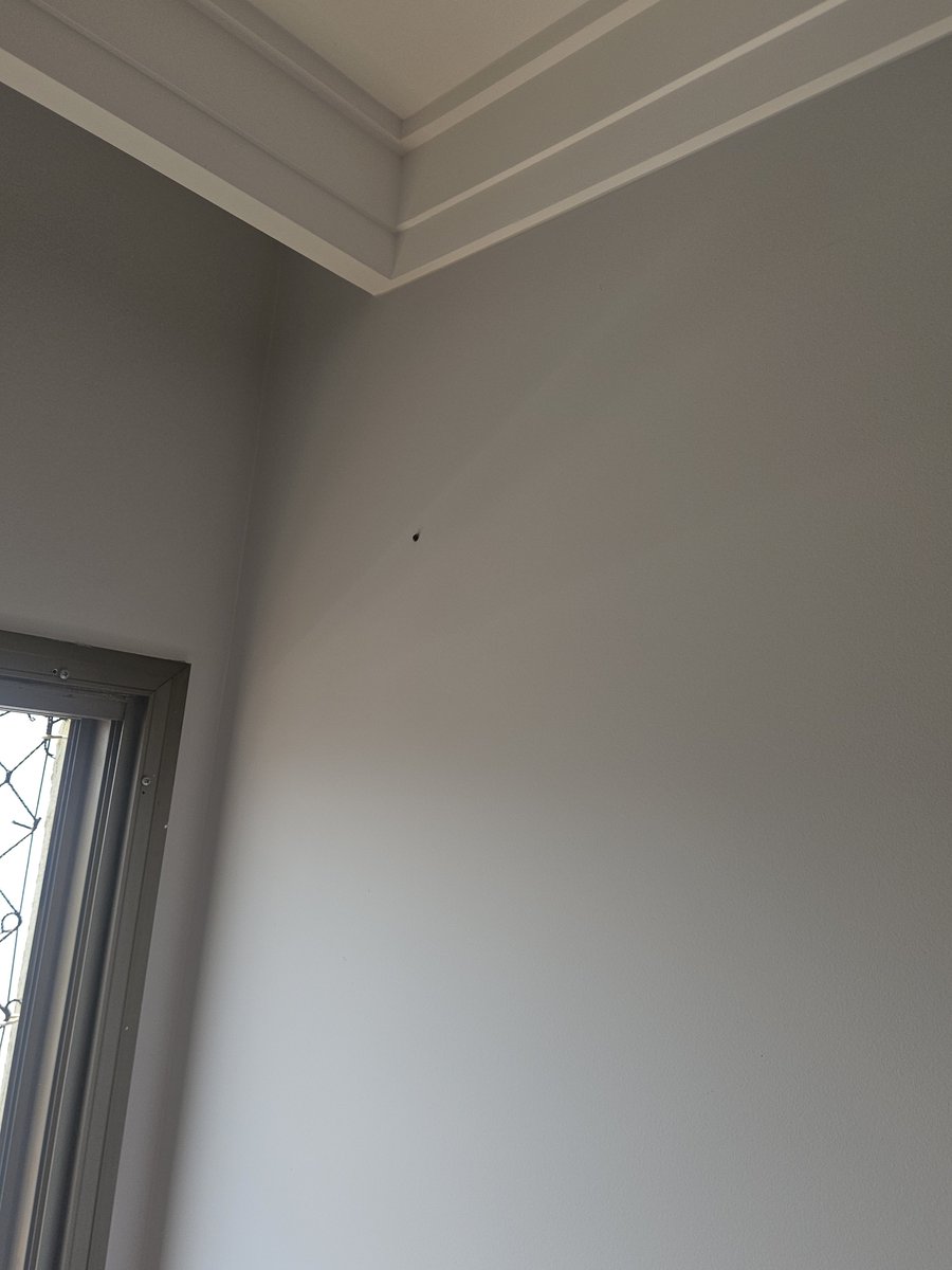 DigoMitoso's tweet photo. Acordei com uma joaninha me dando oi no quarto, acho q vai ser um bom dia hj https://t.co/Ze9ngn2aOP