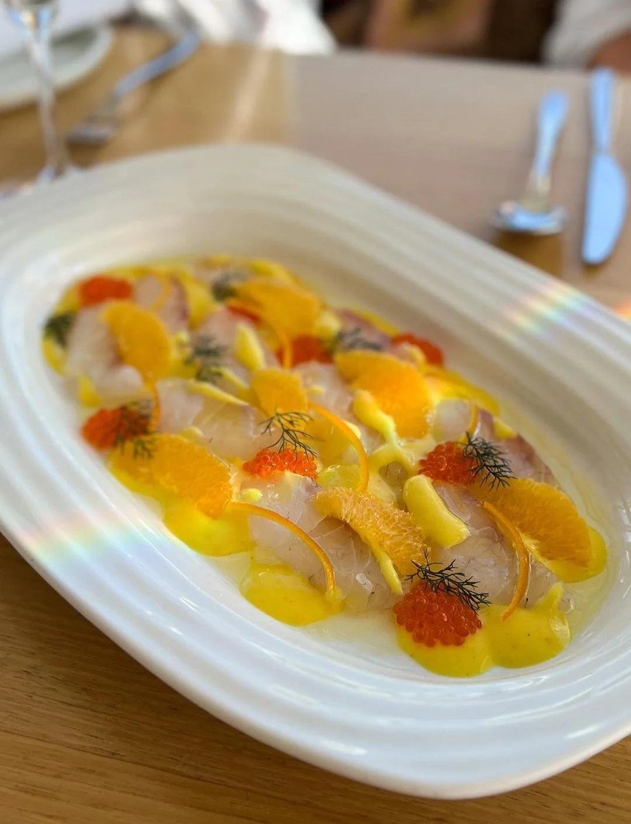 StepanieMowgl's tweet photo. Nuevo plato exótico en el restaurante: ceviche de mango con camarones, jugoso y lleno de sabores tropicales No te lo pierdas!， https://t.co/E7HEZTKNVY