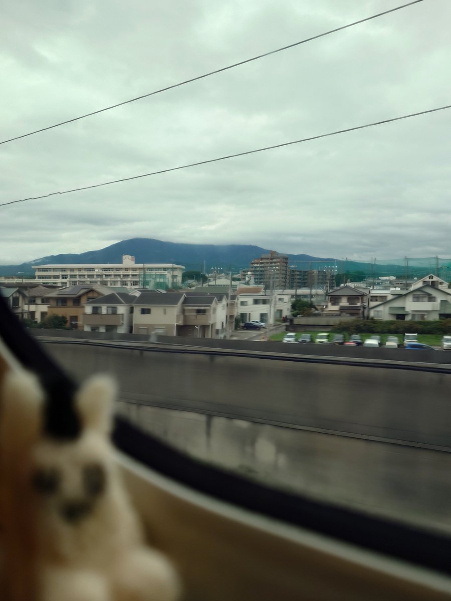 ray_theoillamp's tweet photo. Day 13
天氣不太好富士山的山頂被擋住了🥹 https://t.co/Fayctfgz1i
