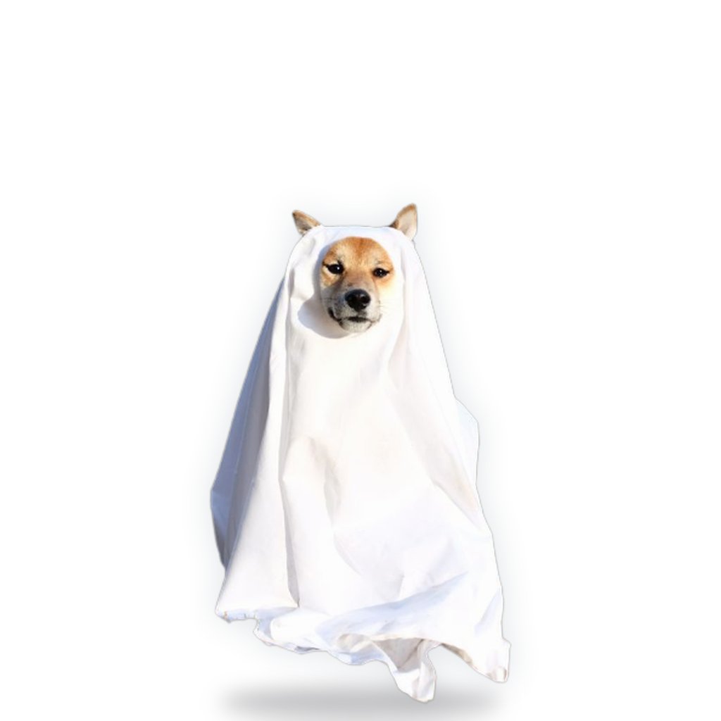 InuvisiblePF's tweet photo. I might’ve just cooked the most unhinged fucking narrative in the trenches.

INUs are running. Animals are flying into the millions. Halloween is coming. And our dog? He forgot to fucking render.

Meet INUVISIBLE INU. All the INU energy, none of the visibility.

I built a website loaded with memes and lore because even an invisible dog deserves somewhere to haunt.

https://t.co/PLEzpCgCFV

The vamps can try. Screenshot him and steal what? Empty fucking space? That’s the whole joke.

Everyone’s fighting to be seen. We’re sending the one they can’t find.

$[TICKER] — you won’t see him coming.

CA: 96u17tapbFpuob6QzF3hUwseJ92PZfheachP51Vxpump
