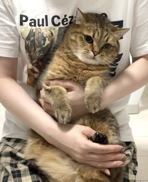 MiniraDiary's tweet photo. 置いてある爪切り見つけて絶望してるww https://t.co/UfZ9khhoUN
