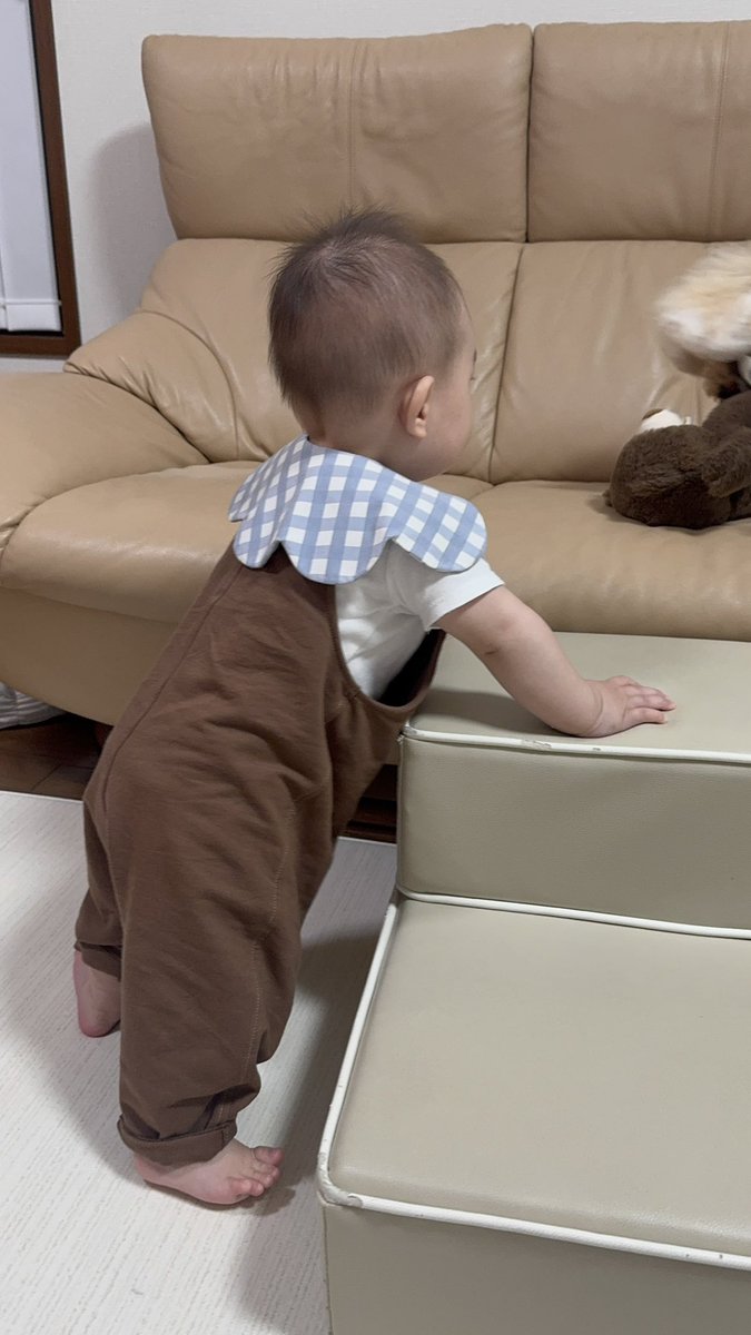 read_with_coco's tweet photo. ココちゃんのおもちゃと同じ色 https://t.co/ACsfsqk9ht