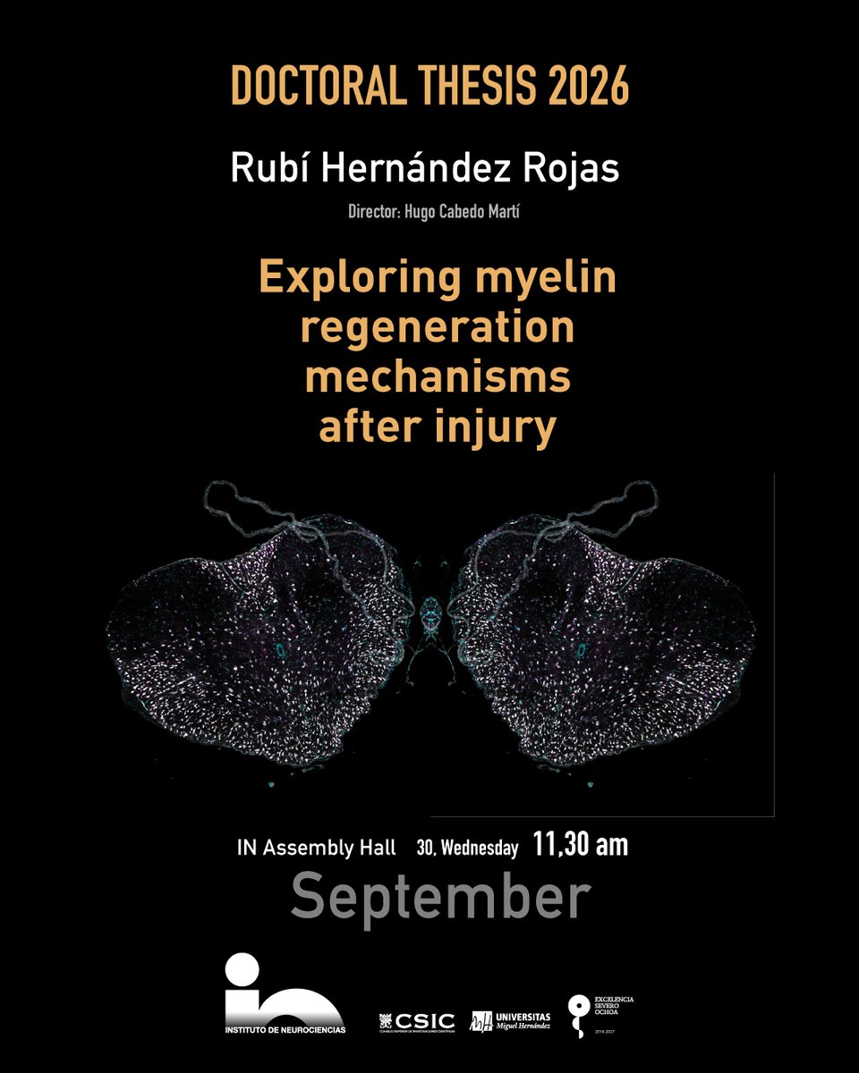 NeuroAlc's tweet photo. 🎉 Enhorabuena a la recién nombrada hoy Dra. Rubí Hernández Rojas por su defensa de #TesisIN y felicitaciones a su director de tesis, el Dr. Hugo Cabedo Martí @MyelinAlicante 🎉 https://t.co/9t95fxw3Bo