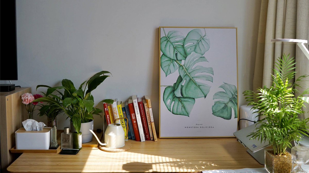Holley3huga's tweet photo. Organizo mi espacio de trabajo con una planta pequea y un organizador minimalista: funcional y agradable para inspirar productividad!， https://t.co/fgpWJFAK27