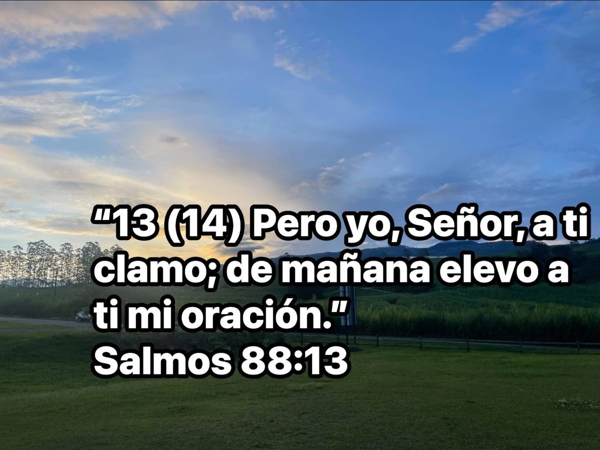 oryanes's tweet photo. https://t.co/C6337xvFNO