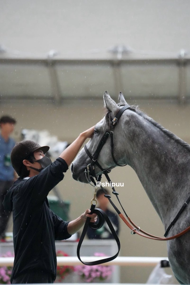 shipuu_'s tweet photo. 26/09/27 阪神競馬場　12R 3歳以上2勝ｸﾗｽ

#ソウルアンドジャズ https://t.co/zluDewgtdh