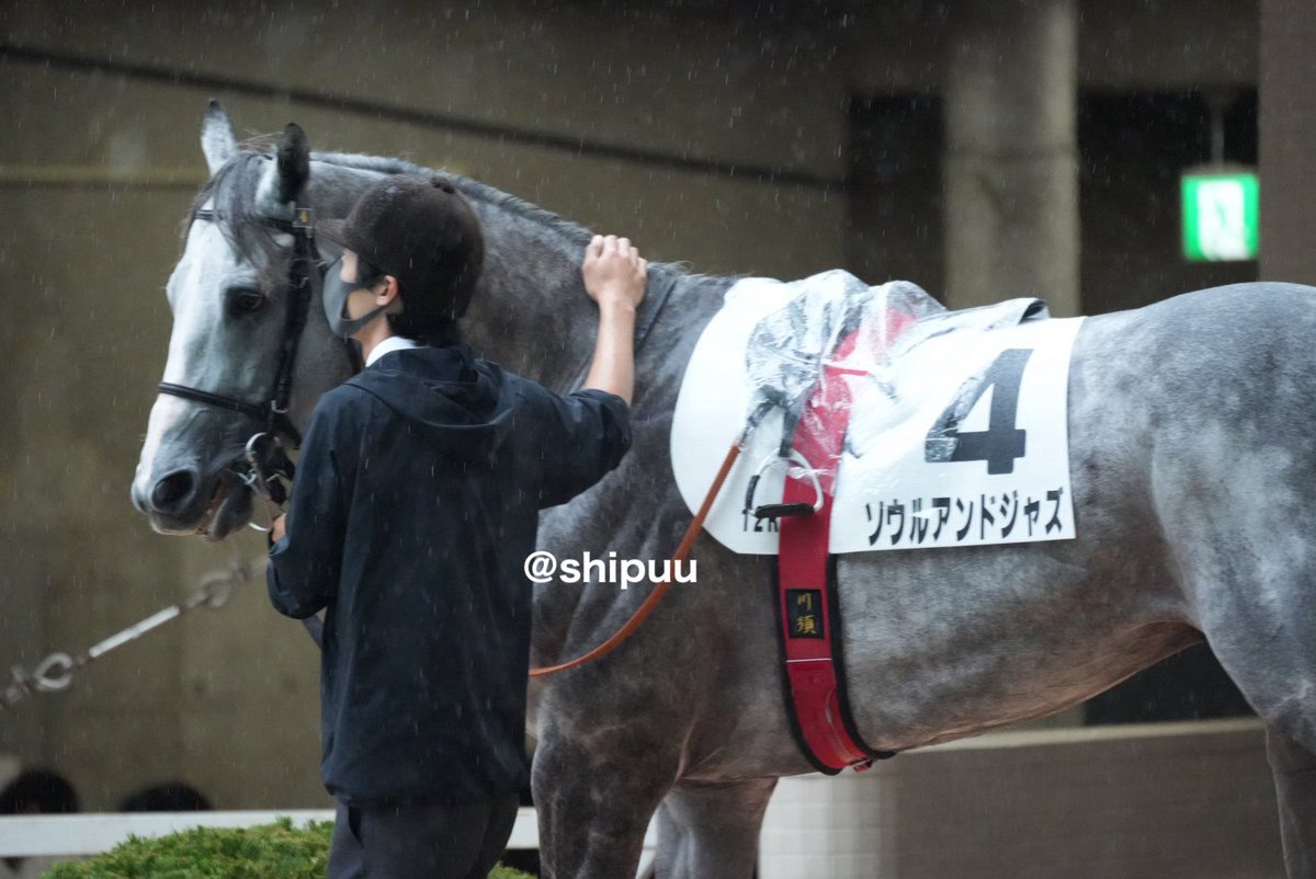 shipuu_'s tweet photo. 26/09/27 阪神競馬場　12R 3歳以上2勝ｸﾗｽ

#ソウルアンドジャズ https://t.co/zluDewgtdh