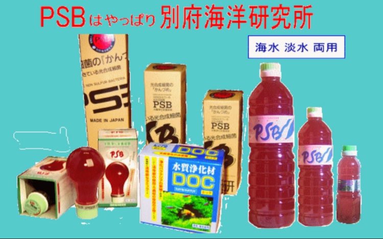 gingannomajo's tweet photo. 初めて飲んだPSB

PSB聞くと別府海洋を思い出すなぁ

当時は電球型が流行ってた時代

懐かしいわ https://t.co/Ppl3GlkfYw
