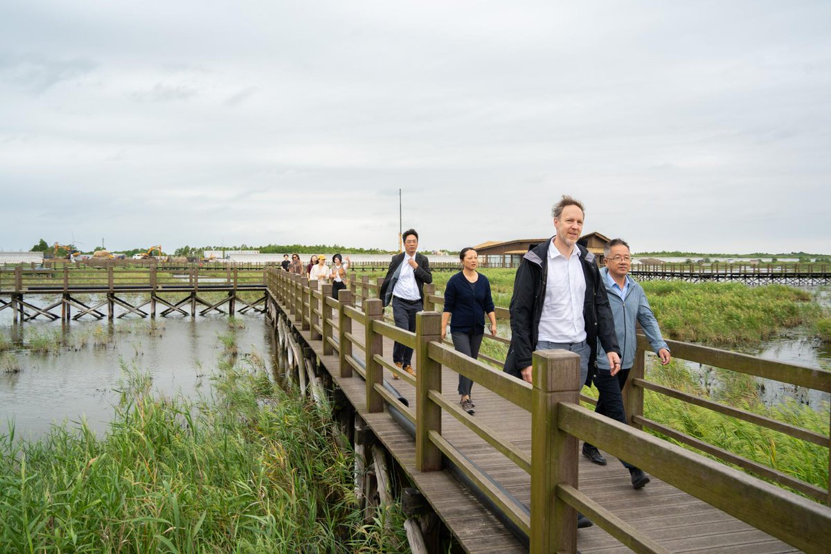 stefanliller's tweet photo. At Chongming Dongtan Nature Reserve, home to 300+ bird species, I saw how biodiversity protection can support local livelihoods. Through #BIOFIN, @UNDP🇨🇳 &amp; partners are pioneering a new index-based insurance product to help farmers manage crop losses caused by migratory birds. https://t.co/vZWZWv2TEW