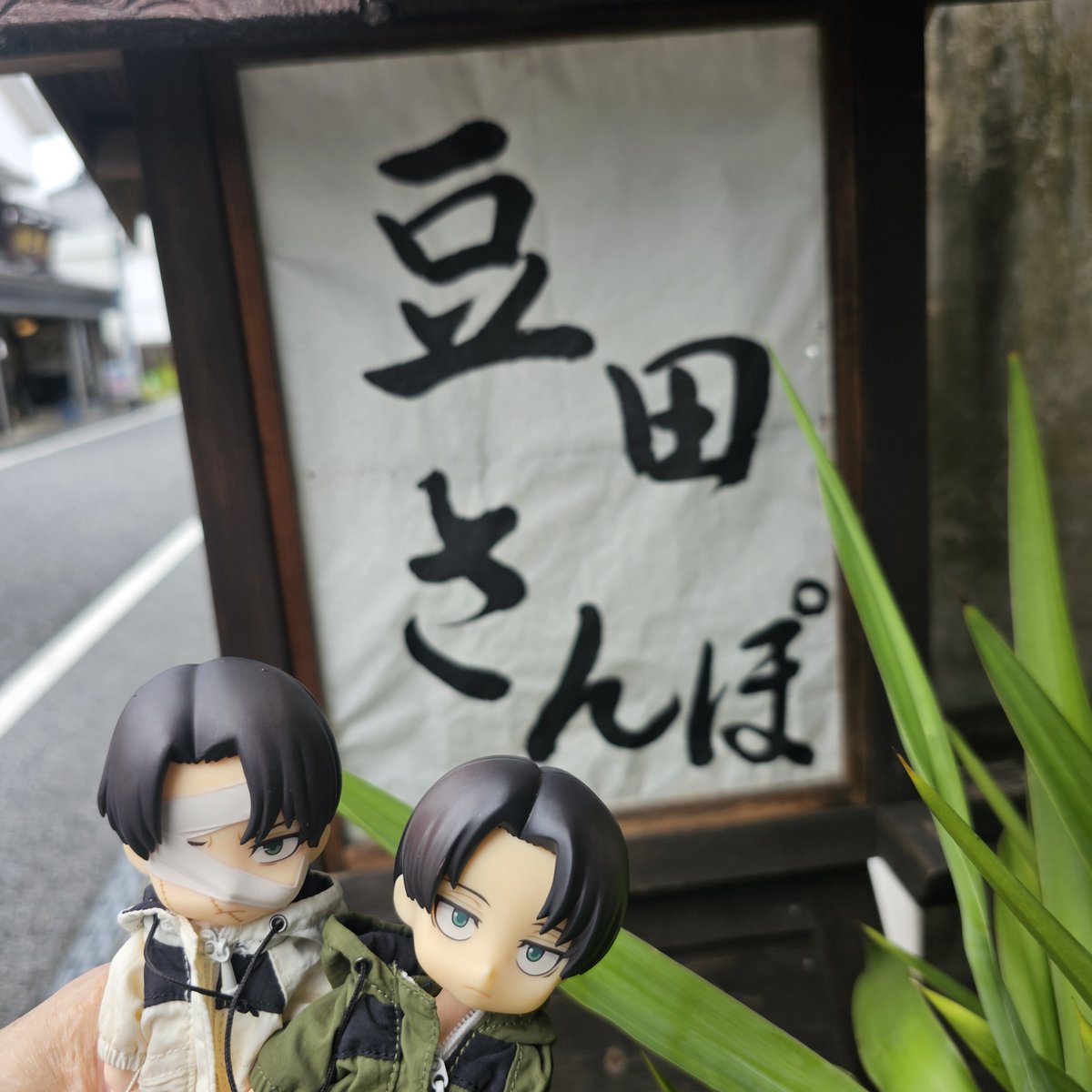Y_AAA____'s tweet photo. 豆田調査🐾 https://t.co/joWgj2FOWS