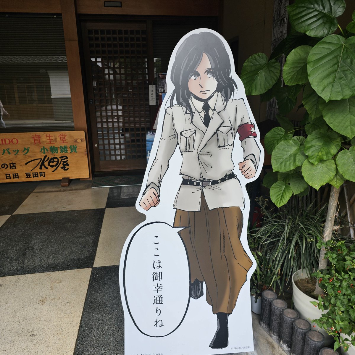 Y_AAA____'s tweet photo. 豆田調査🐾 https://t.co/joWgj2FOWS