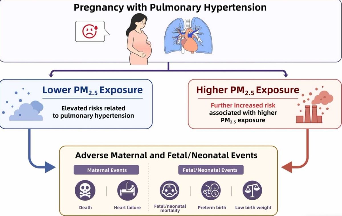 MinnowWalsh's tweet photo. Long-term Exposure to PM2.5 and Risk of Adverse Pregnancy Events in Women with Pulmonary Hypertension: A Nationwide Multicenter Study - The Journal of Heart and Lung Transplantation https://t.co/iKO143wuw4 #CardioObstetrics @TheJHLT https://t.co/3B33iQywUi