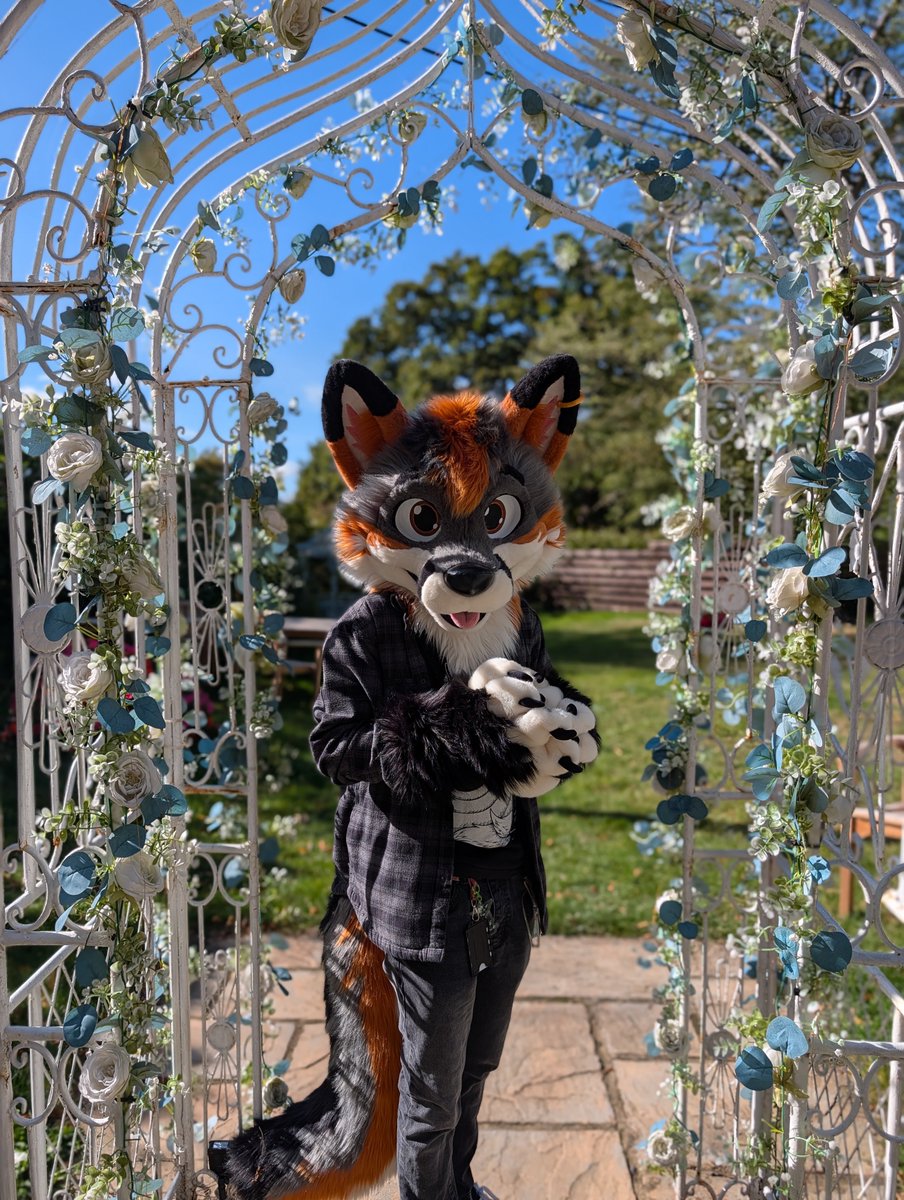 EncodedFox's tweet photo. very mindful very demure

📸 | @SirenMK2 
#furry #fursuit https://t.co/tk2fY8aZYB