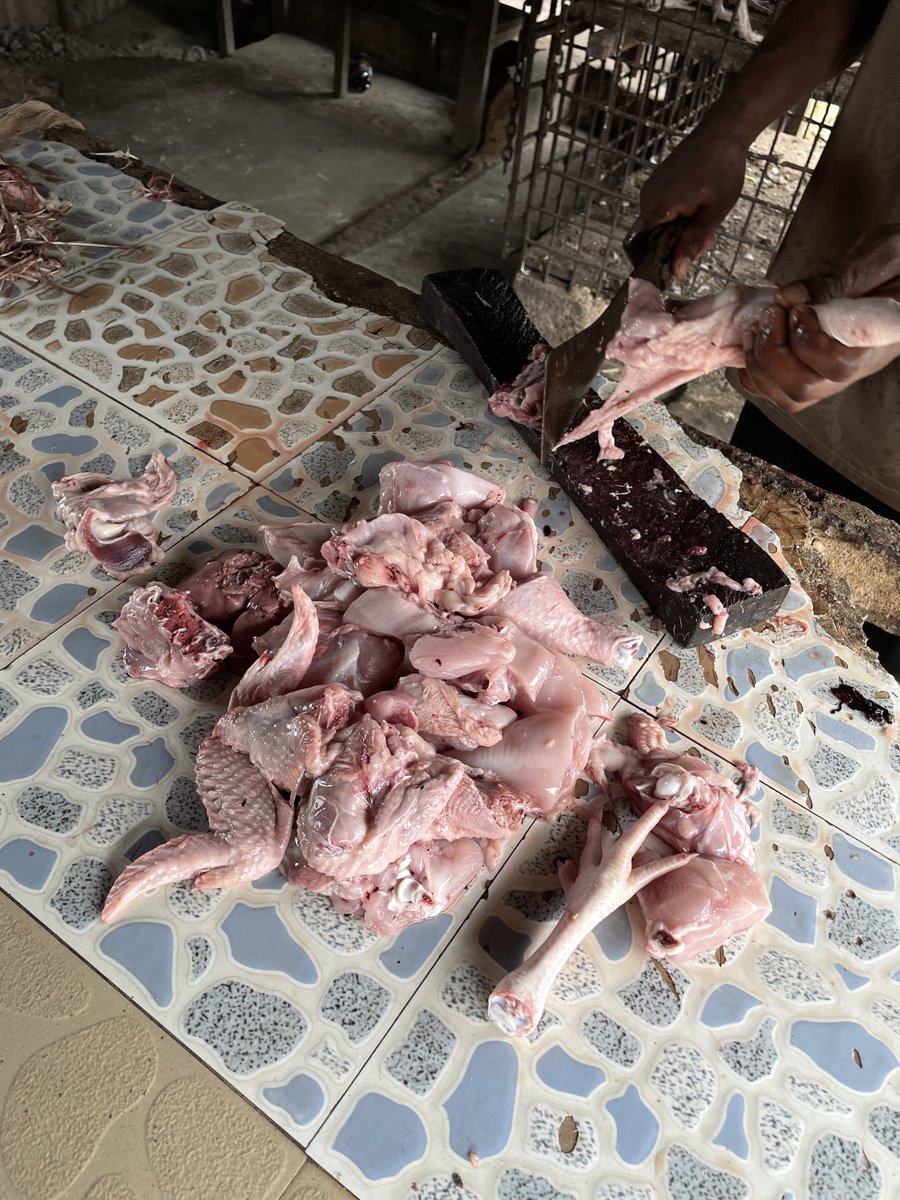 waggydey4you's tweet photo. All these MEAT for just 12k
Akwa Ibom Ayaya ❤️‍🩹🤭 https://t.co/q1Qlhp53HY