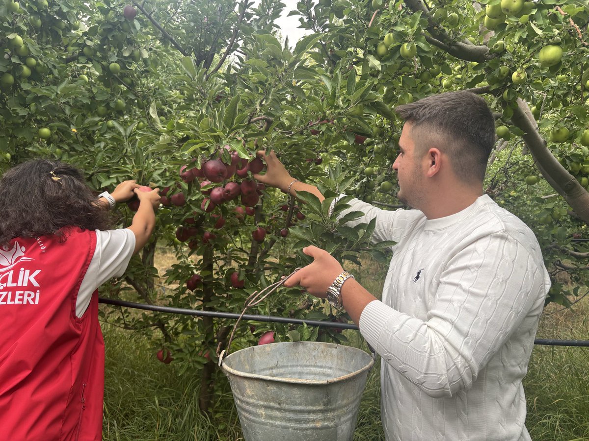 GSB_KaramanGM's tweet photo. Gönüllü Hasat Etkinliği’nde hem ürettik hem eğlendik. Çünkü bizce gönüllülük, paylaştıkça çoğalan en güzel emek! 🌱✨ 
 
#gönüllühasat #gençlik https://t.co/X9ZMpiBUgr