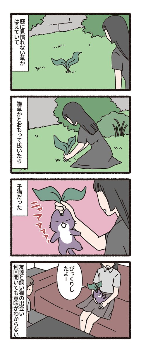 pandania0's tweet photo. 庭にはえてきた不思議な子猫（1/3） https://t.co/waKnI3DFQM