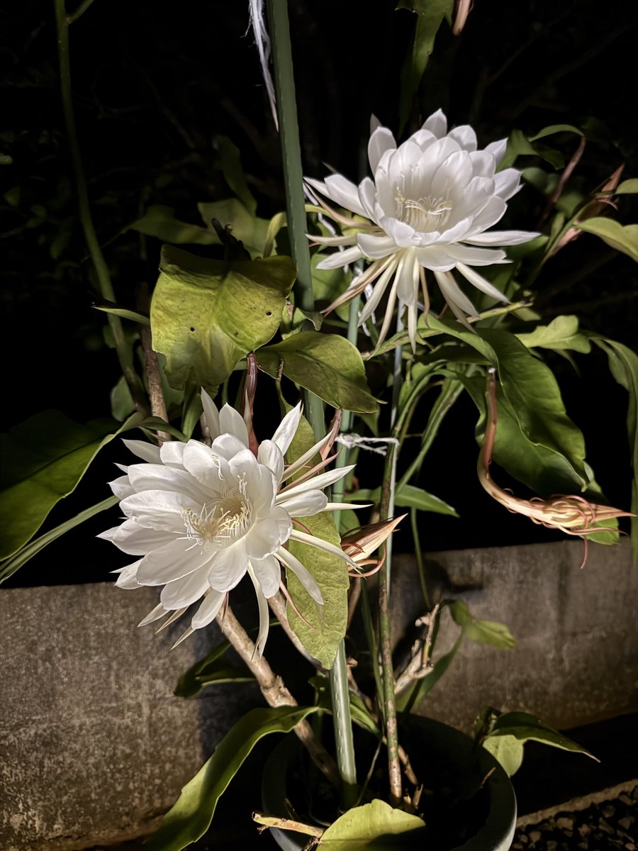 kenpeeter2902's tweet photo. 21:15 https://t.co/YWiSZPnXAO