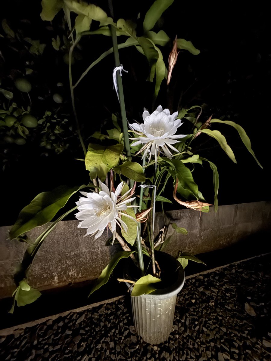 kenpeeter2902's tweet photo. 21:15 https://t.co/YWiSZPnXAO