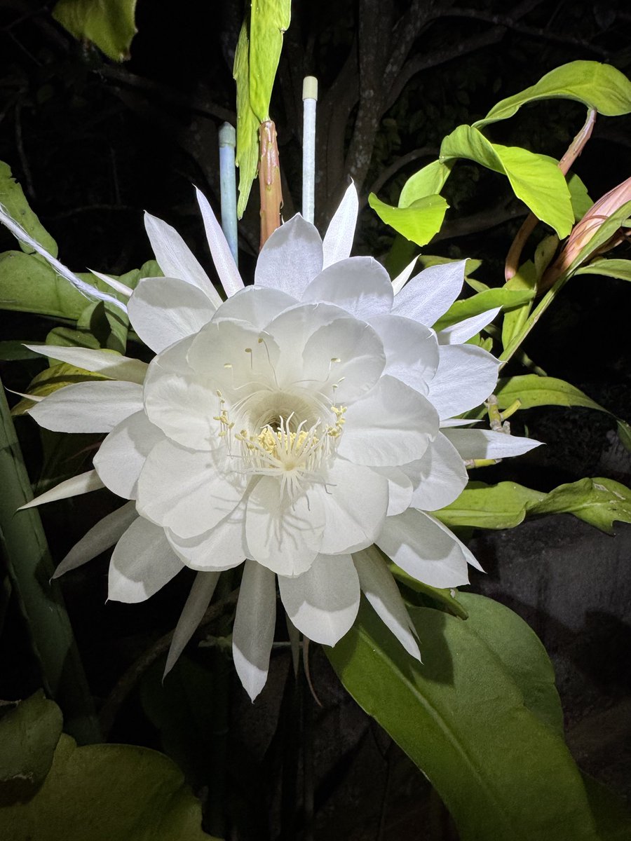kenpeeter2902's tweet photo. 21:15 https://t.co/YWiSZPnXAO