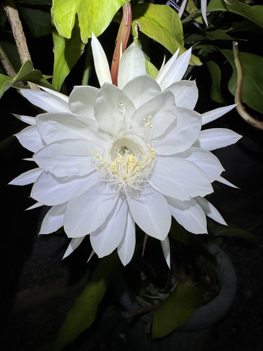 kenpeeter2902's tweet photo. 21:15 https://t.co/YWiSZPnXAO