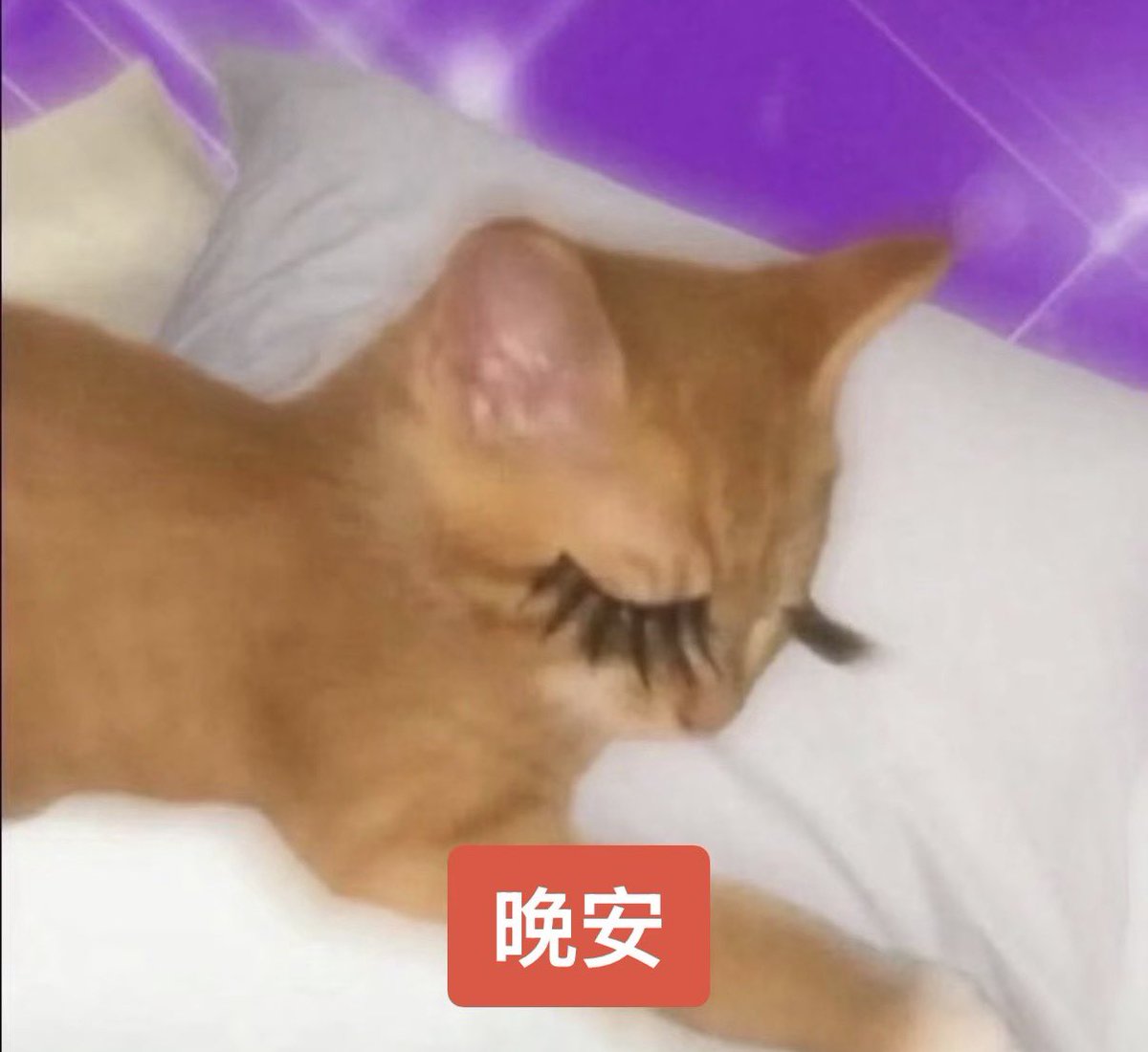 Nan0v0_'s tweet photo. 好希望有好心人能莫名其妙的给我钱 https://t.co/uj4qz7yric