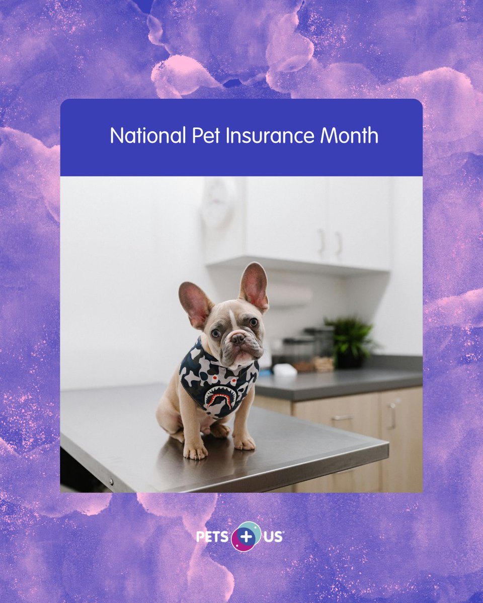 PetsPlusUsIns's tweet photo. Closing out National Pet Insurance Month 💜

While we’d all love to keep our pets in the “nothing bad ever happens” club, accidents and illnesses don’t exactly check the calendar first. 

Read more about what pet insurance can do for your family: https://t.co/jWGDWBbHhF https://t.co/2MqFBZqPWL