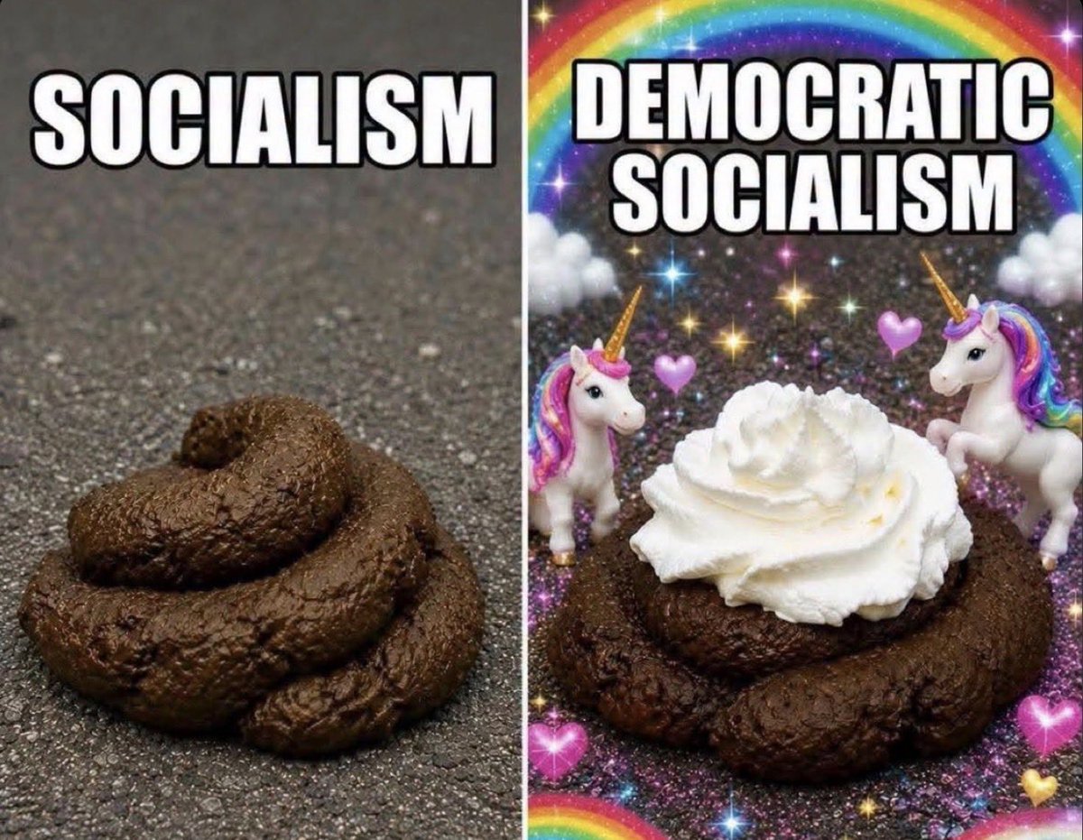 RebelRewindNews's tweet photo. @WallStreetApes So, the Democrats want to replace Americans with Illegals so they can cheat their way into power to kill you. Got it. https://t.co/SLco00KbDE