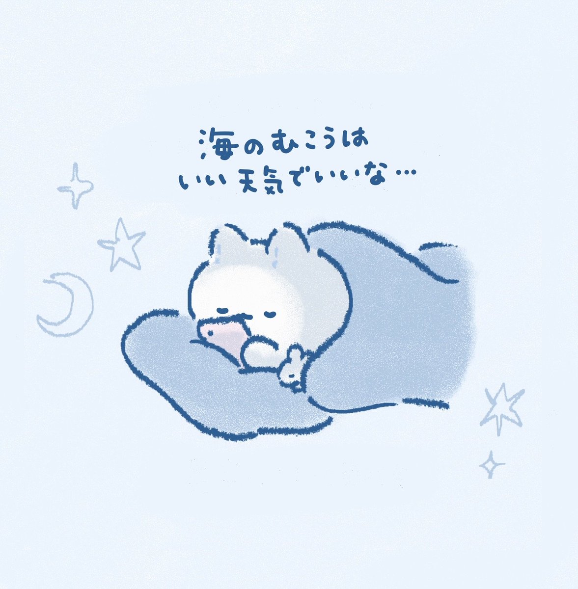 nekofton_sub's tweet photo. 小窓から覗き見してる感覚🌙 https://t.co/3zkT2vColg