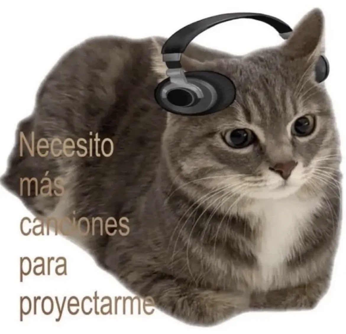 the_fake_Zekhie's tweet photo. Buenos días https://t.co/K2pJz90aYs