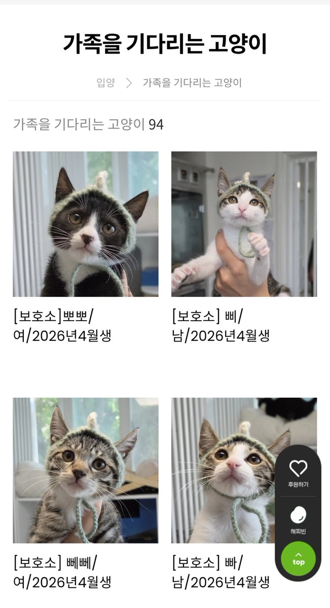 aeng_ari's tweet photo. 얘들아(0명)
아기 공룡 사남매 가족찾나봐

입양 신청 링크 : https://t.co/5XtX7eMjJ0

#나비야사랑해 #가족을기다려요 #서울경기인천
@_imbo___ https://t.co/h7BAcQyHGa
