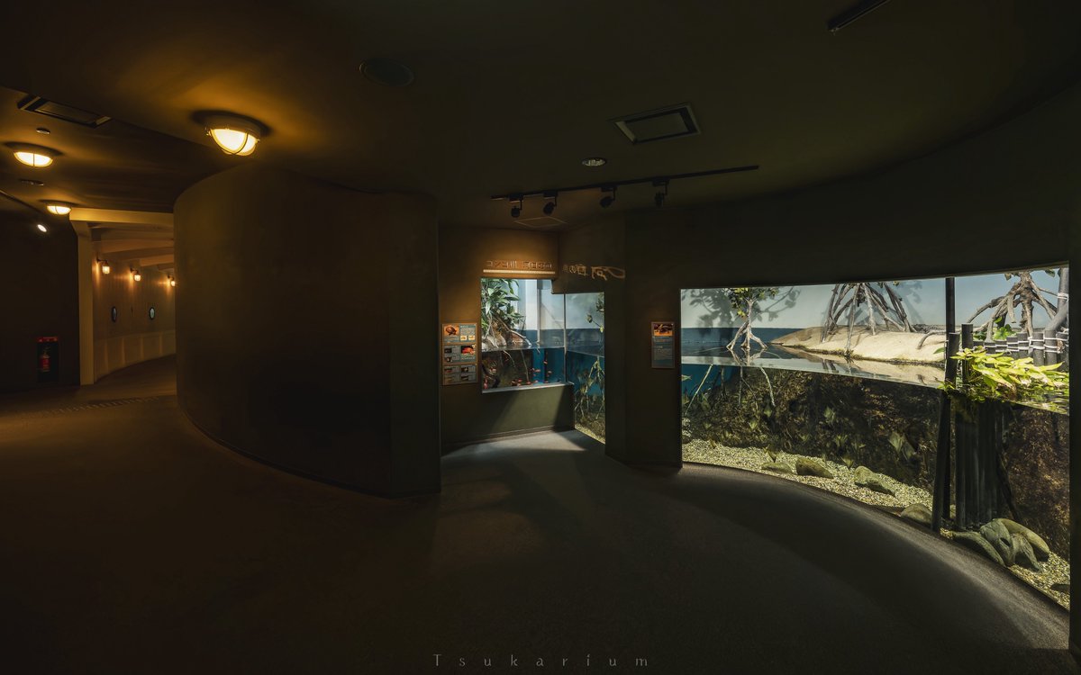 tsukarium's tweet photo. 世界最大級の淡水魚水族館「アクア・トトぎふ」はいいぞ！ https://t.co/M856GMyKrB
