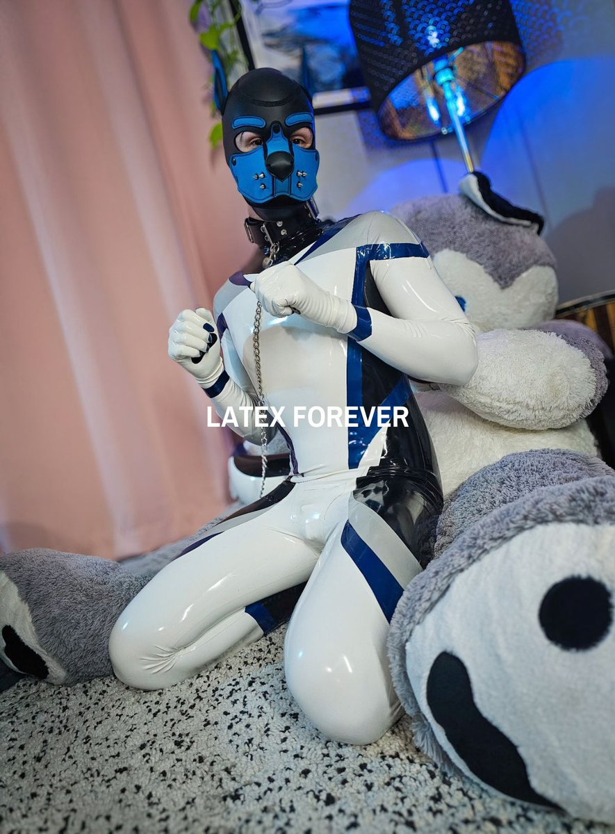 Latex_Forever's tweet photo. do you wanna touch my tail? 🐶🐾

suit: @Latex_Forever 
pup: @the_pup_xander 
design: @SkylarDoodles 
camera man: @KoKoCat15 

#unboxing #design #latex #rubber #latexforever https://t.co/6ryjGQHv06