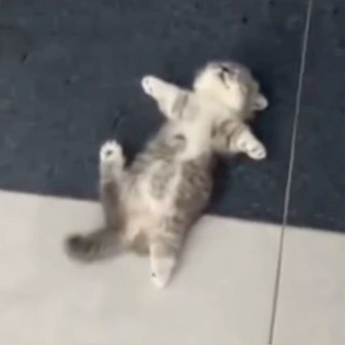 kitteete's tweet photo. kittae down (•́ ᴖ •̀) https://t.co/DtpN27ZScW