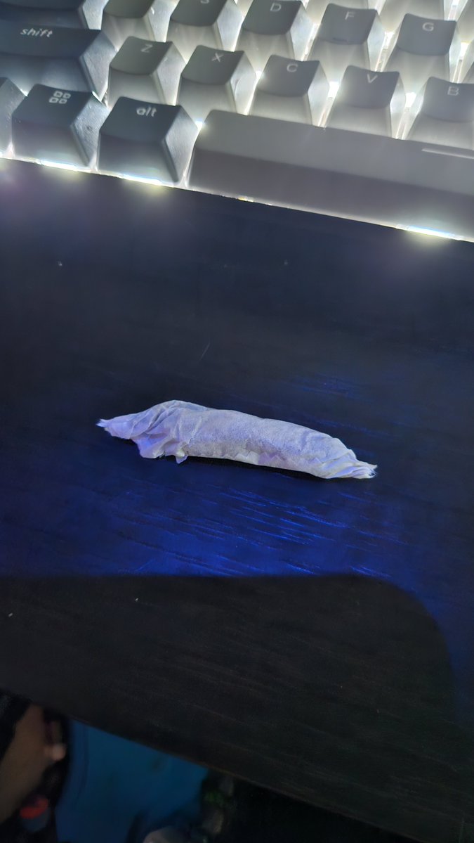 RobynTheGhost's tweet photo. Rolled my first joint 🥹🥹🥹 https://t.co/zrCSfbwBFA