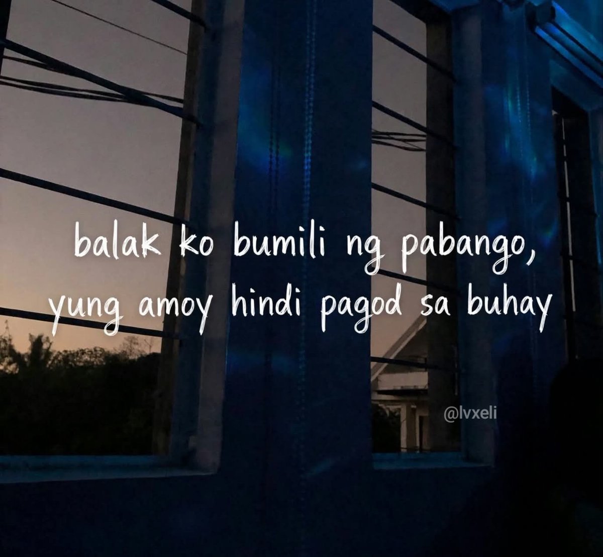 lvxeli's tweet photo. https://t.co/KQ49WkRZsS