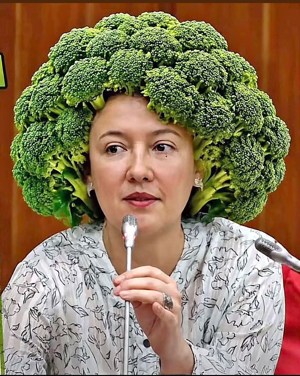 MonroySartha's tweet photo. @FUCHO02 Cabeza de brócoli podrido 😂😂 https://t.co/kiPdlcf3TL