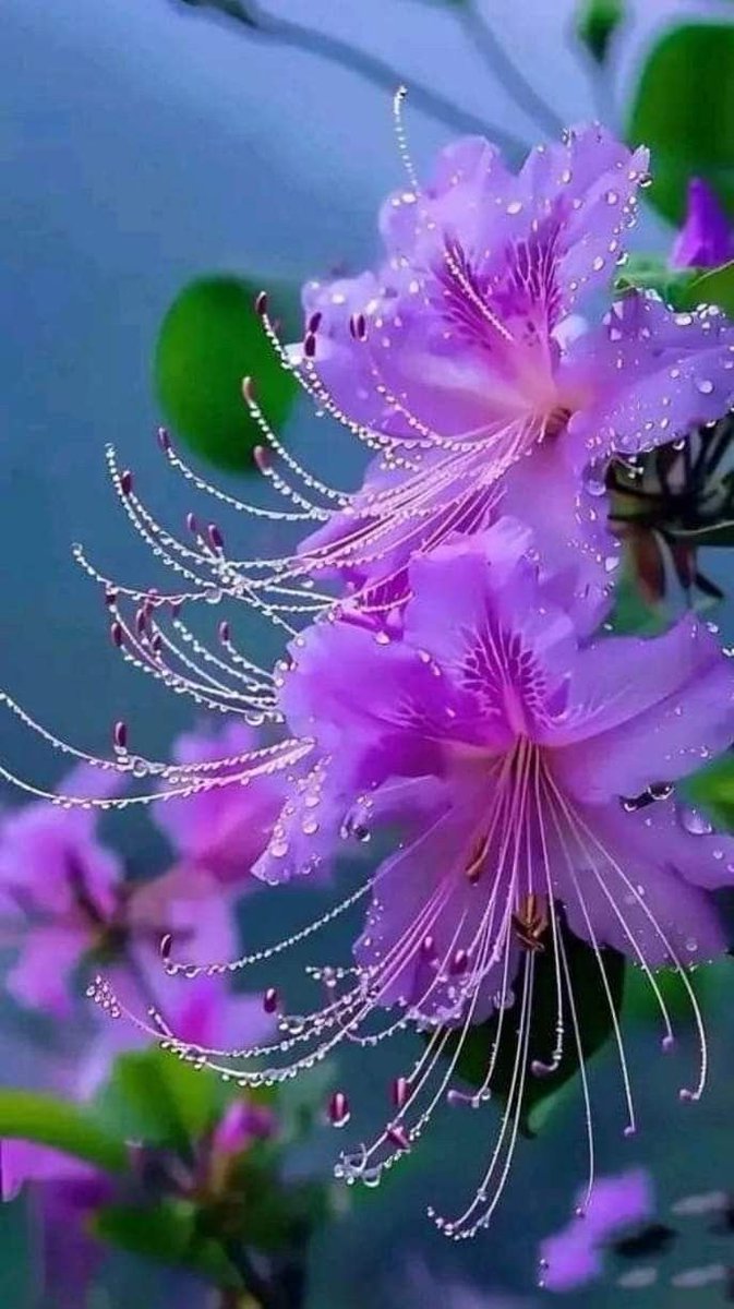 tag_nine's tweet photo. #بدايـــــــــــــــہ https://t.co/fQ2YCWWX6u