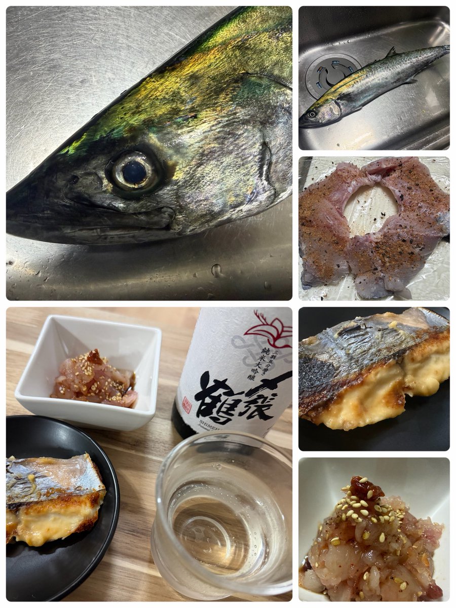 tsuritter1972's tweet photo. ①9/19(土) SW初日
 寒川港の守山丸
 サワラ76cm ×1

②9/24(土) サンスポ釣り教室
 寒川港の守山丸
 サワラ 83cm x1

③9/25(日)
 長浦港のこなや丸
 サワラ バラシ

釣ったサワラは
炙り、塩焼き、西京焼き…
カマ、胃袋、心臓、中落ち
美味しくいただきました。

サワラ旨っ😋 https://t.co/GZhv4juLT9
