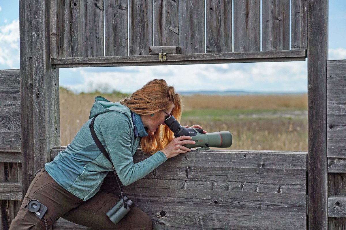 infocusOptics's tweet photo. @kowasportingoptics The TSN Prominar range with a 55mm, 66mm, 88mm, 99mm objective lenses all coming in either straight or angled variations Kowa Prominar uses pure fluorite crystal for exceptional clarity, colour accuracy and reduced chromatic aberration.
#kowaoptics #birding https://t.co/ypB8xcBLby